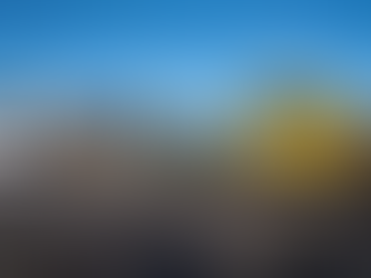 Merseyrail Trains Canceled Due to 'Dog' on Tracks