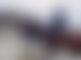 New Organisation Seeks to Empower the Equine Sector