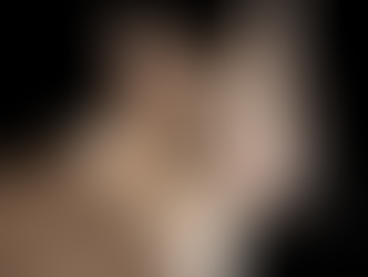 Jersey Landlords Advised to Clarify Pet Policies