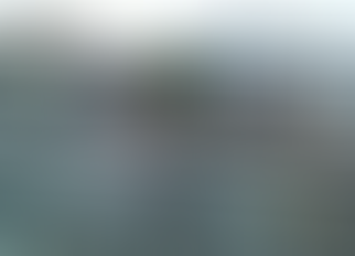 Police Appeal for Witnesses After Red Houses Crash Leaves Woman Seriously Injured