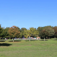 Children invited to help shape future of St Andrew’s Park