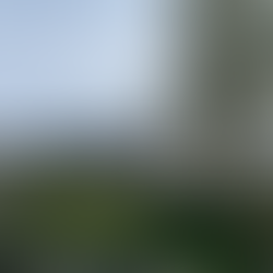 Princess Anne to Open New Gorilla Habitat at Jersey Zoo