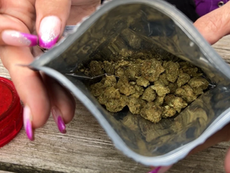 Jersey to strengthen medicinal cannabis laws after inquest findings