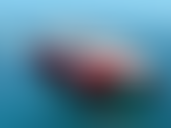 New Ferry Operator Defends Service Schedule