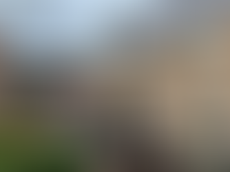 "Pub Forced to Close After Torrential Downpours Cause Severe Flooding"