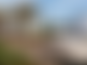 Jersey Pearl Marks 40 Years of Sparkle and Success