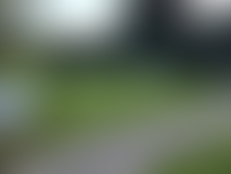 Superworm Story Trail Opens at Millennium Park