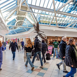 Swan Walk reveals reopening plans after month-long closure