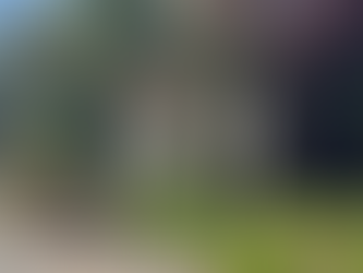 Proposal for Bin Shelter and Substation Rejected