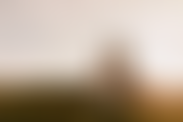 'Value for Money' at the Heart of Modern Weddings