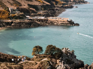 May Visitor Numbers Down 25% Compared to 2024