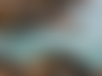 May Visitor Numbers Down 25% Compared to 2024