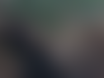 Fire Service Issues Warning Following Dog Rescue