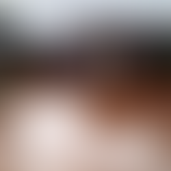 Jersey Zoo Teams Stranded After Cyclones Devastate Madagascar Conservation Projects