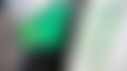 Furniture Dealer on Trial Accused of Trying to Halt Abuse Investigation