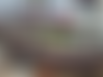 Replica Spanish Galleon Draws Large Crowds