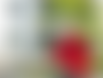 Andium Delivers Over 300 New Homes This Year, With Hundreds More on the Way