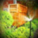 spray head irrigation etobicoke_edited.jpg