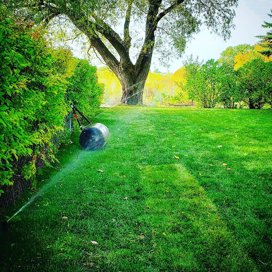 Backyard Irrigation.jpg