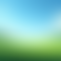  My Social Media Diet: Embracing Positivity.