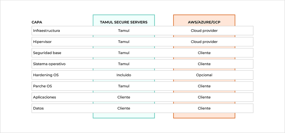 Comparativa del modelo de responsabilidad entre Tamul Secure Servers y servidores tradicionales.