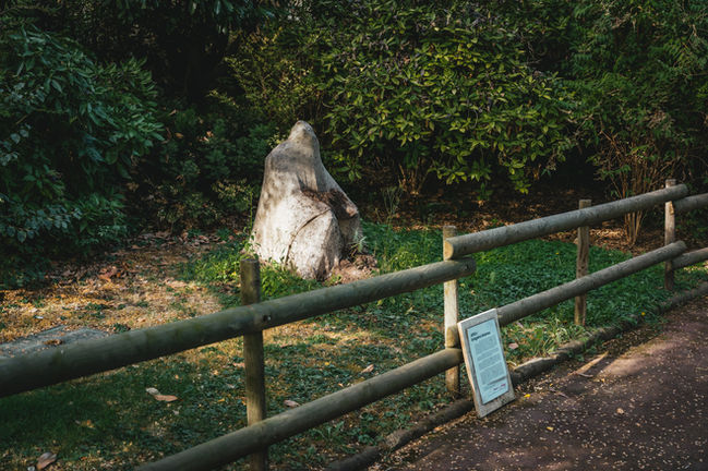 Vue dans le Jardin Lecoq, jour J+140 de la réactivation, septembre 2026, Clermont-Ferrand, FR