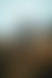 La photographie, une expérience immersive 