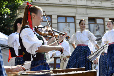 _Festival v ulicich3891.JPG