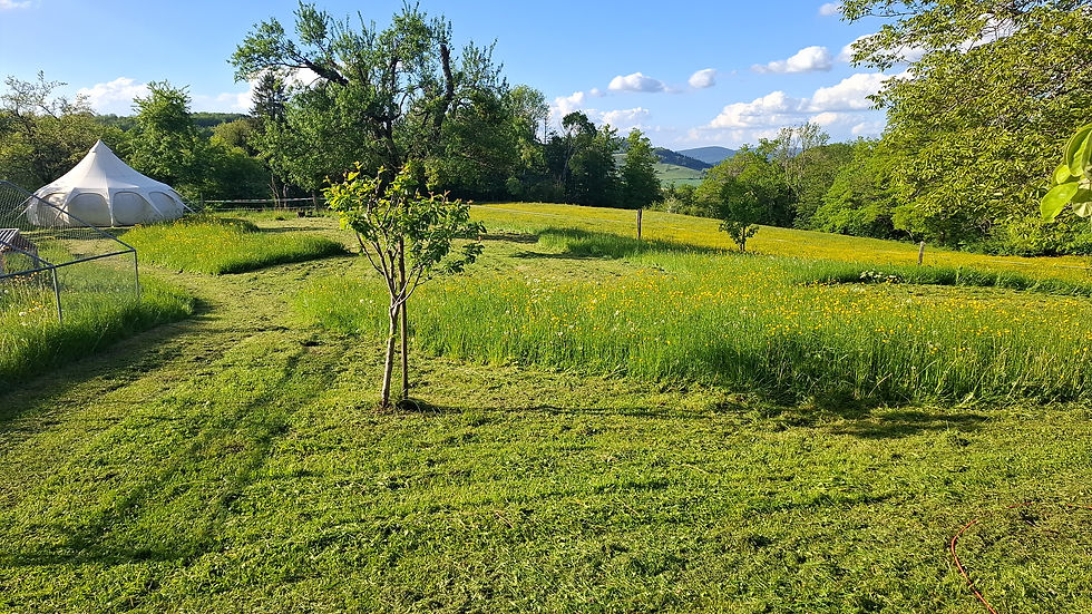 La Louve chambre d'hôtes dans le Jura