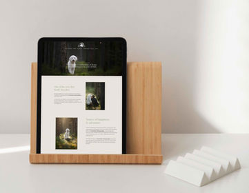 Création du site internet pour Doodles of Fontanettes