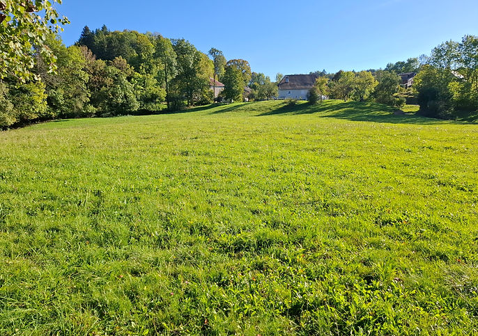 La Louve chambre d'hôtes dans le Jura