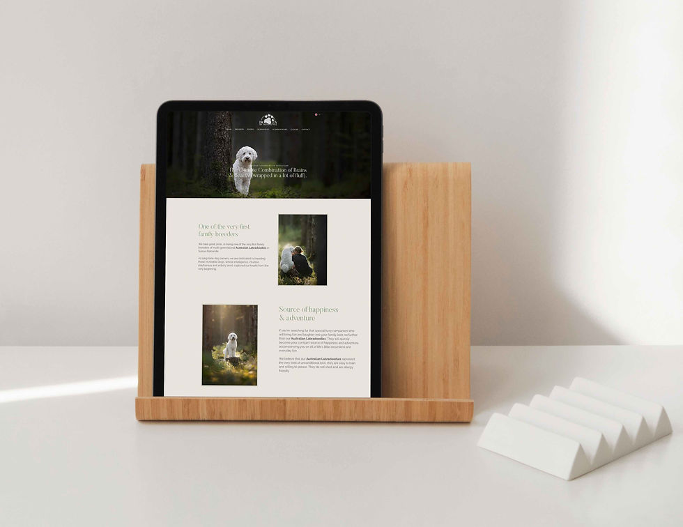 6 outils gratuits de Google pour améliorer le référencement de votre site internet en tant qu'assistante indépendante