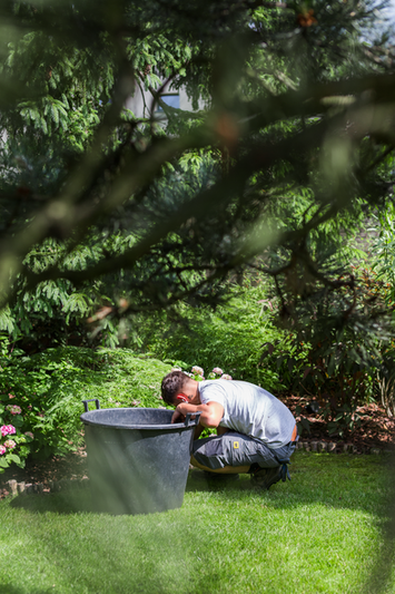 service d’entretien paysager