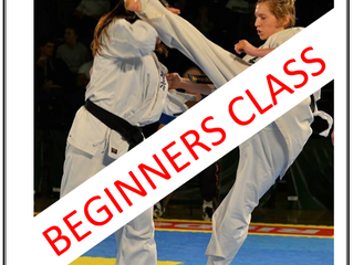 Beginners Course