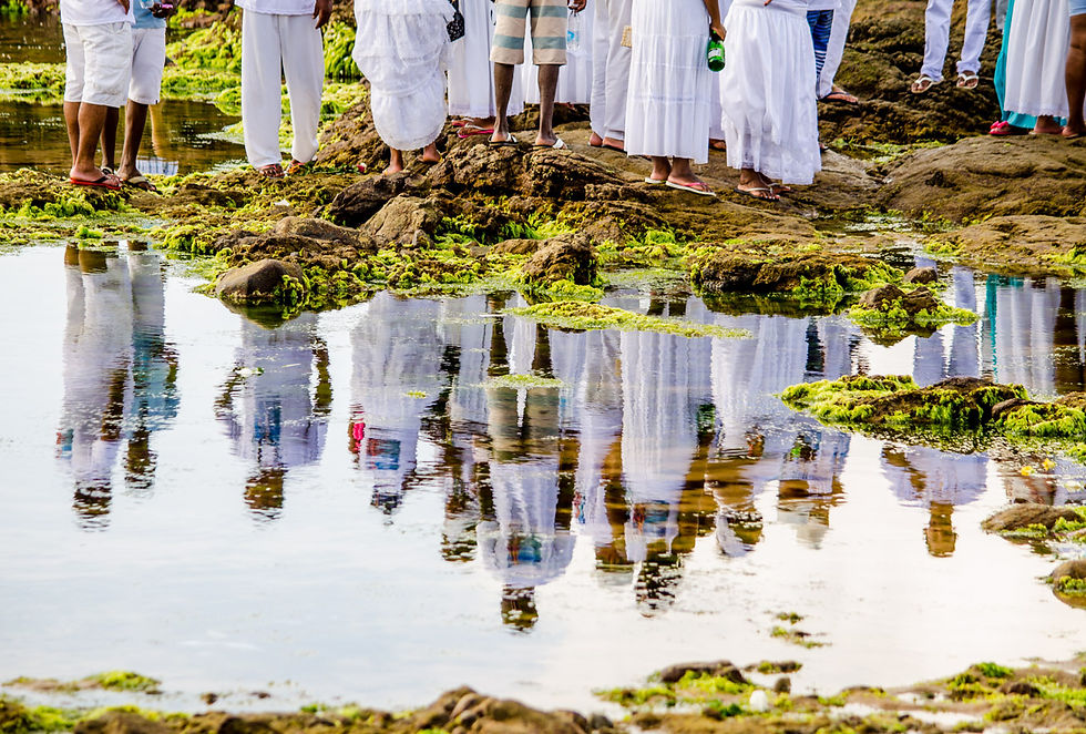 11 - PEDRO NUNES - Reflexos - 2015.jpg