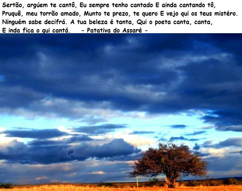 12- RODRIGO CASTRO - Retrato de Poesia - 2012.jpg