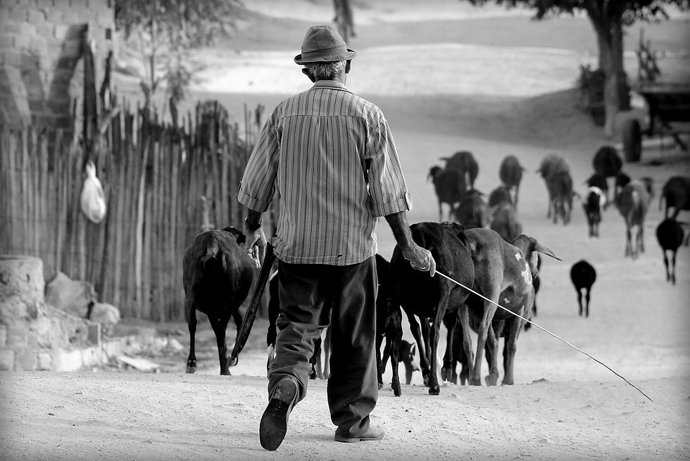 01 - LUCIANO BOAVENTURA - Trabalhadores - 2012.jpg