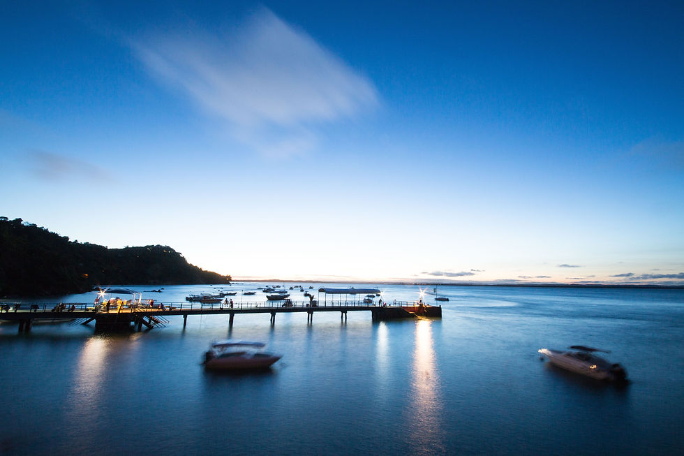 EMMANUEL CORREIA.jpg