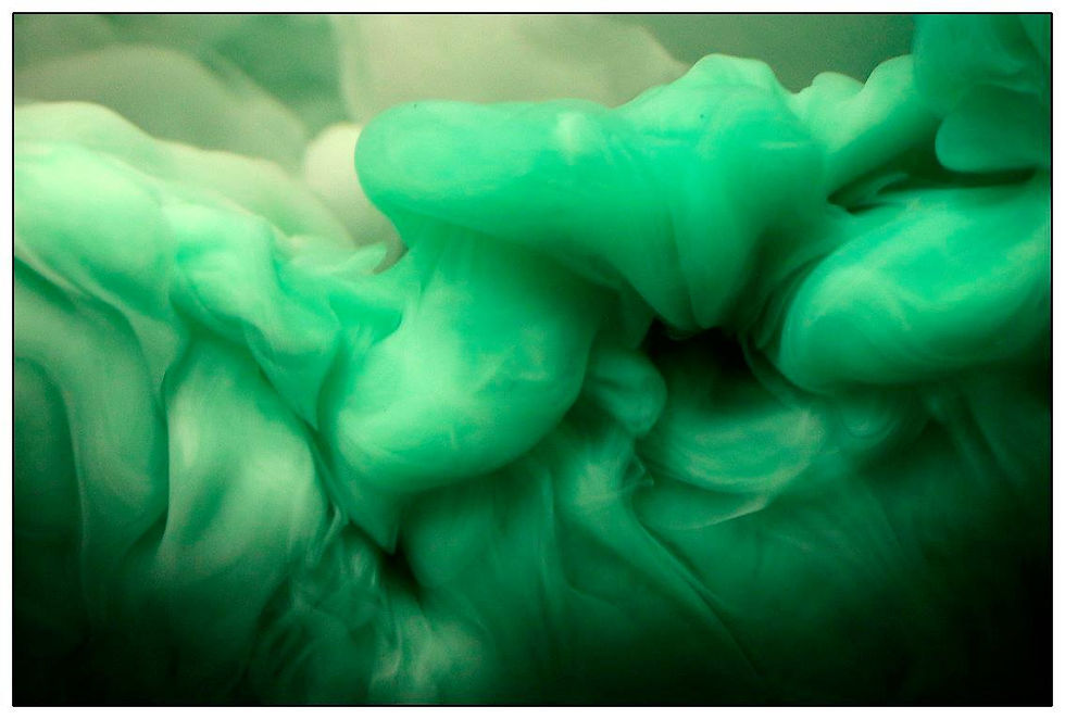 16-16 - FABIANO QUEIROGA - 3o lugar - TEXTURA - 2016 (14).jpg