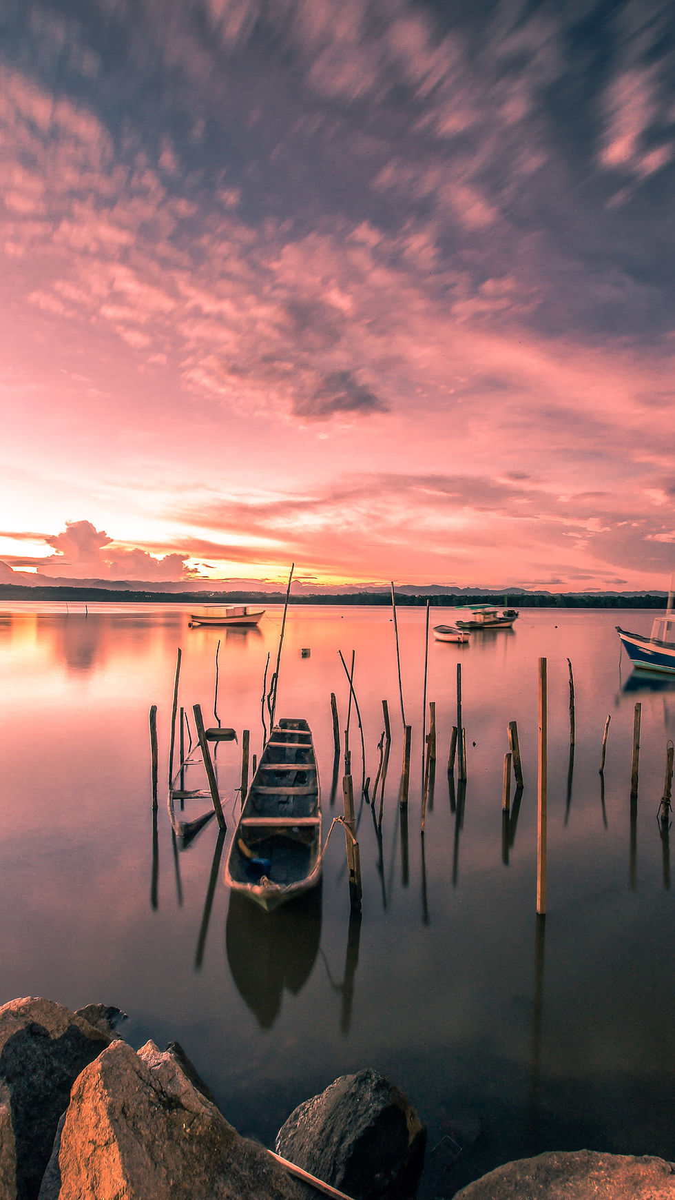 03 FELIPE CALIMAN PIMENTEL.jpg