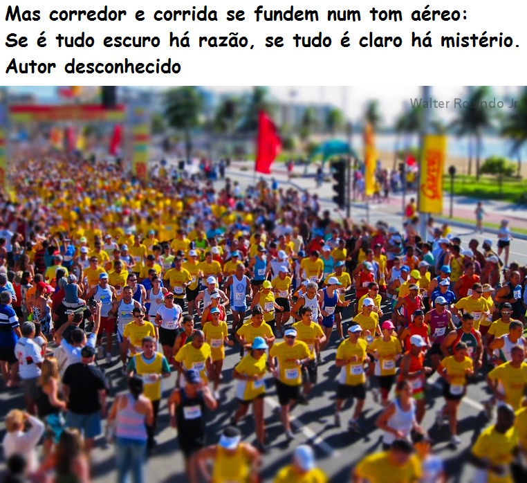 17 - WALTER JUNIOR - Retrato de Poesia - 2012.jpg