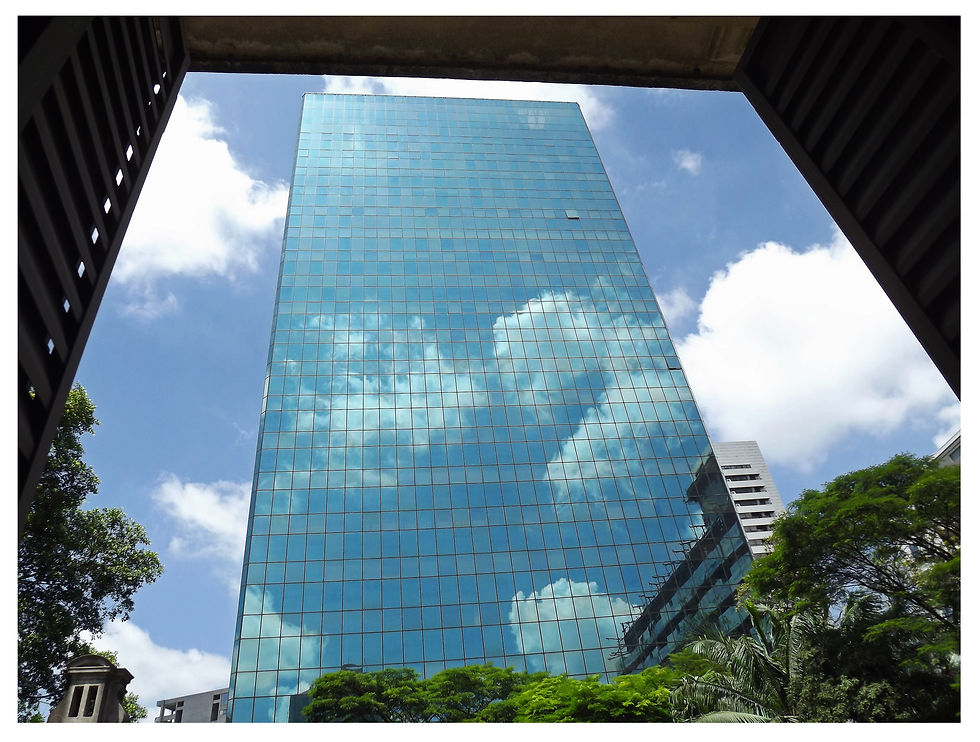 21 - BEBETO VIEIRA VIEIRA - Reflexos - 2015.jpg