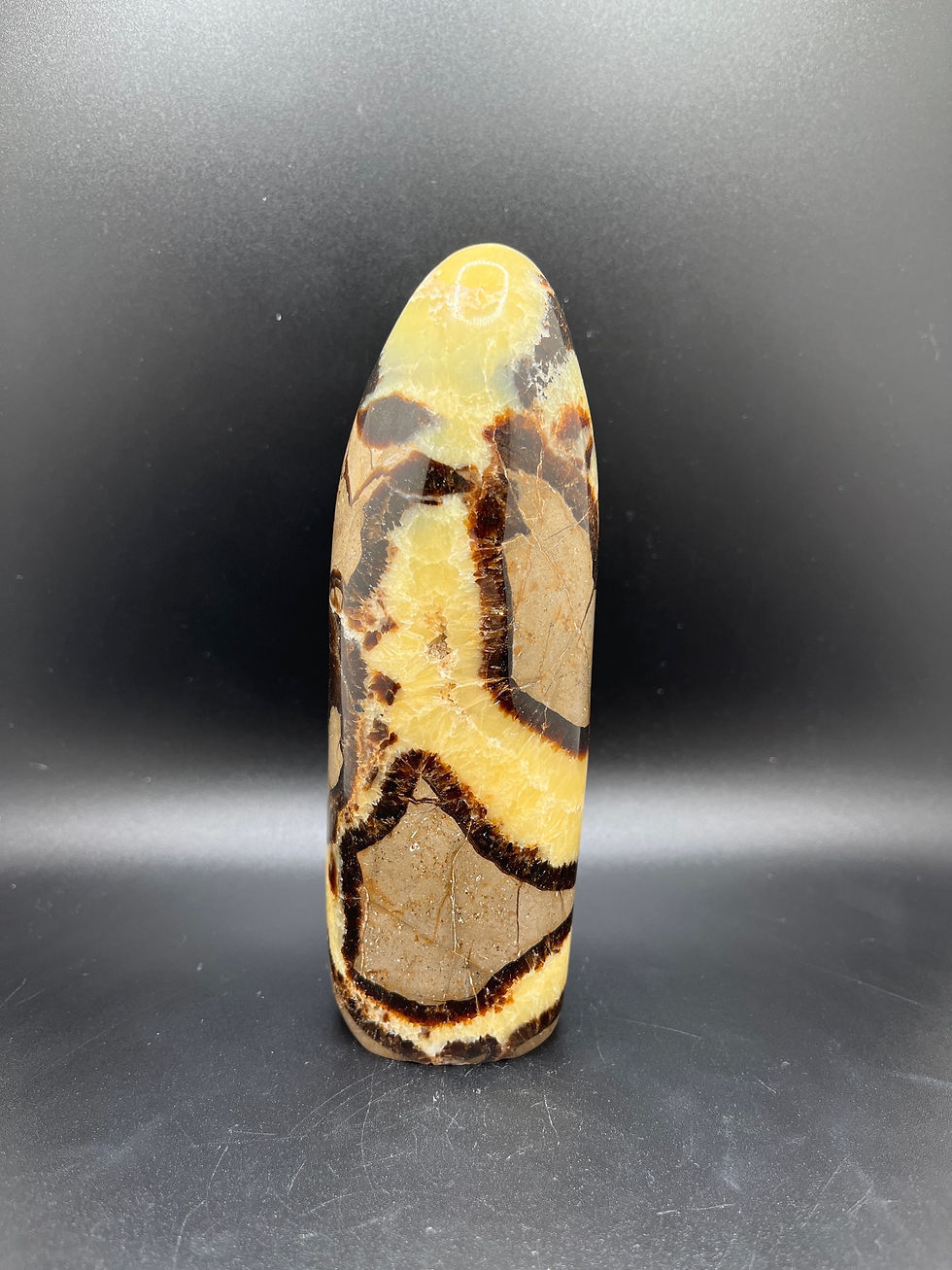 Septarian Freeform