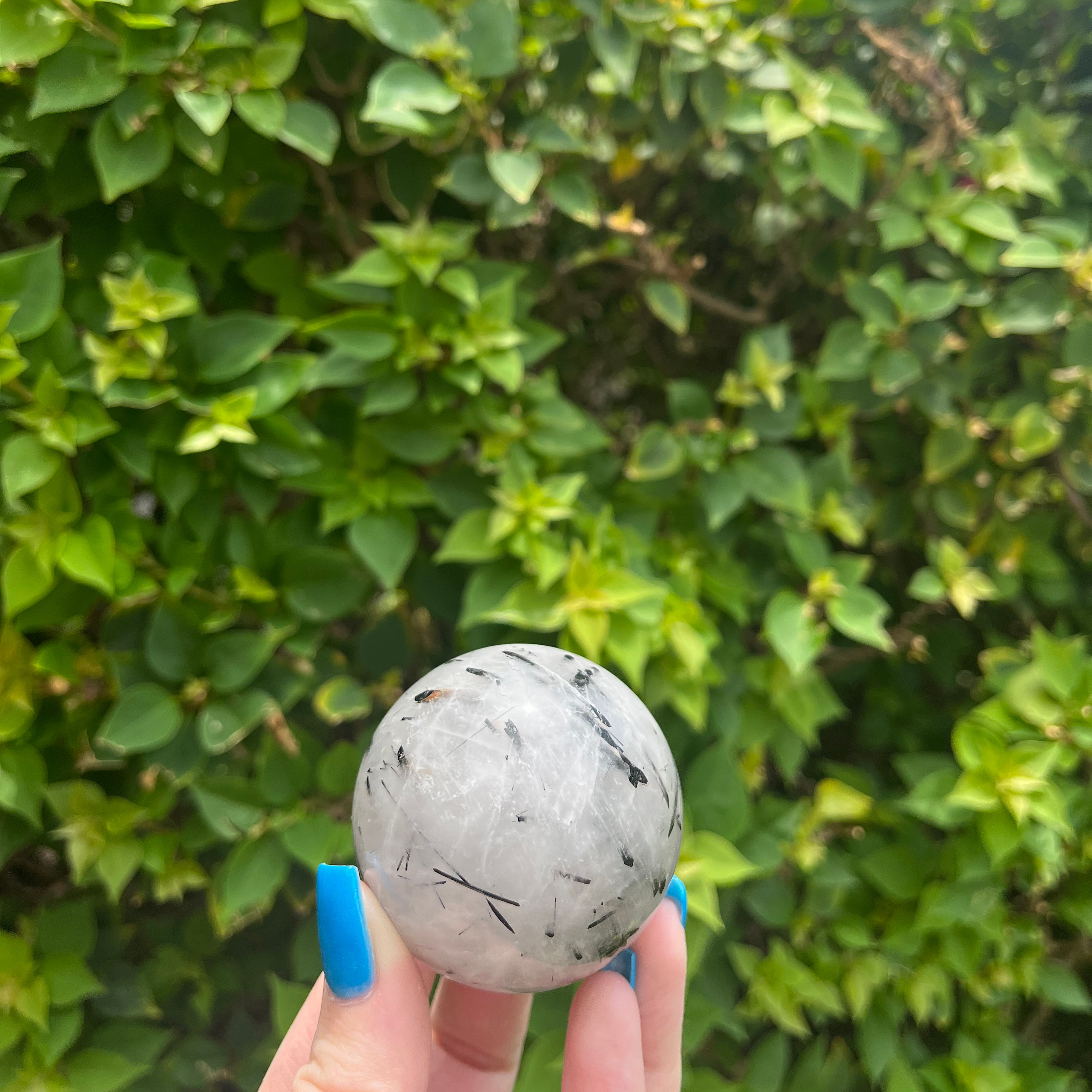 Tourmaline in Quartz 