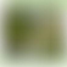 Validation du plan Stratégique 2026-2030