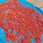 Premier jalon de 2026