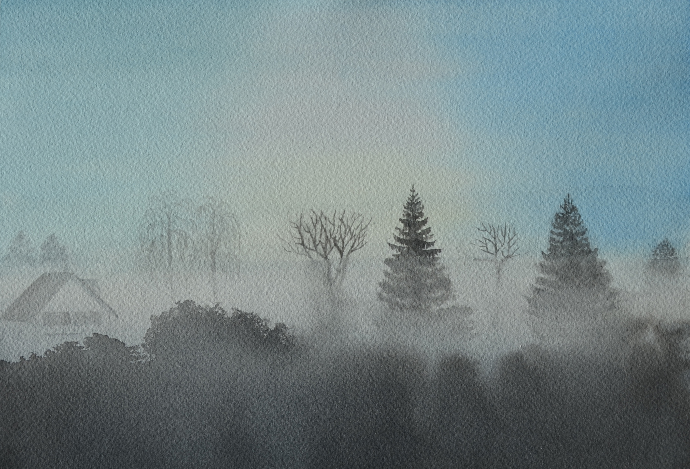 Brouillard matinal