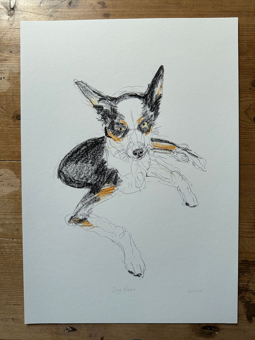 Dog Poses - Print