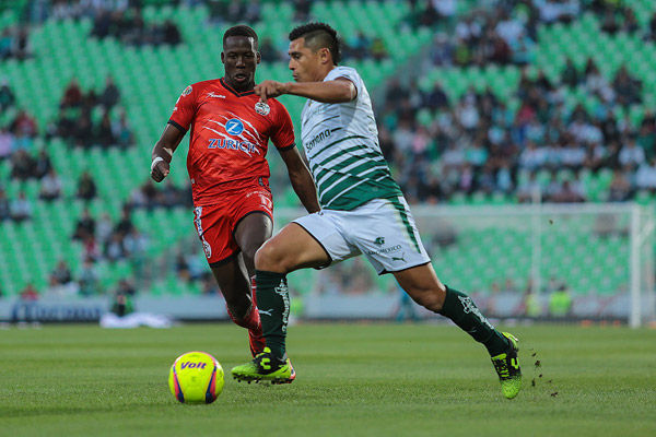 LOS GUERREROS CAZAN A UNOS LOBOS