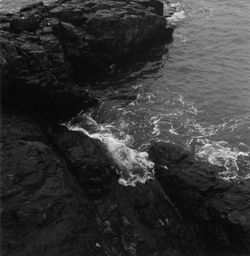 Scan 56.jpgWM.jpgINSTA copy